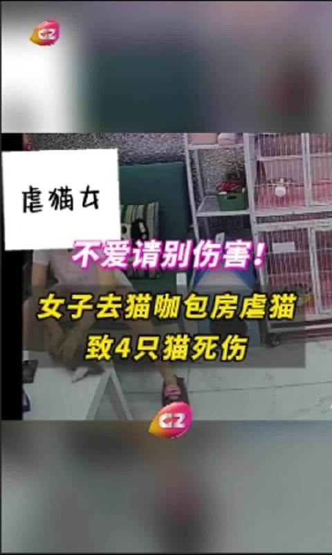 游戏专题 第79页