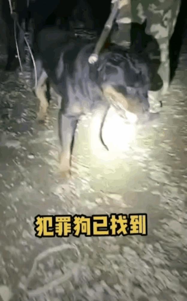 娱乐生活 第57页