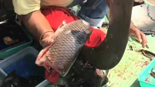 热点生活 第55页