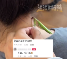 游戏专题 第43页